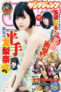 乘风踏歌1-40集全免费观看