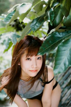 宠婚蜜爱林暖宁时御